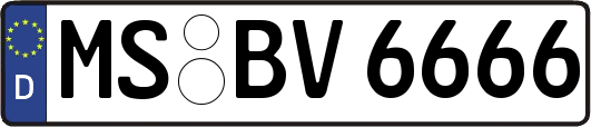 MS-BV6666