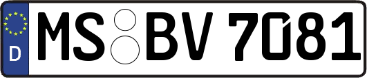 MS-BV7081