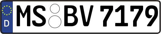 MS-BV7179