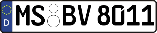 MS-BV8011