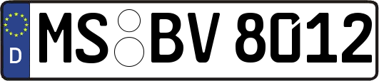 MS-BV8012