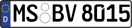 MS-BV8015