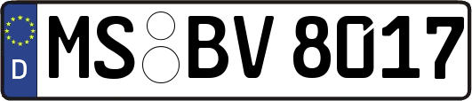 MS-BV8017