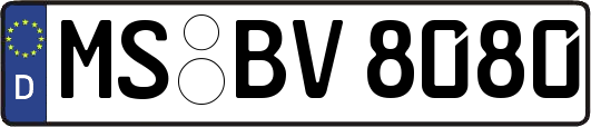 MS-BV8080