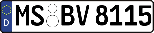 MS-BV8115