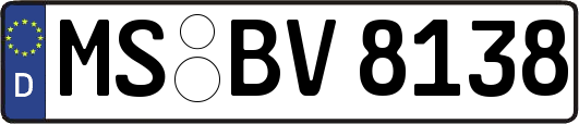 MS-BV8138
