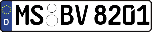 MS-BV8201