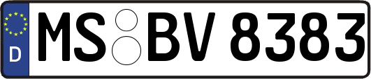 MS-BV8383