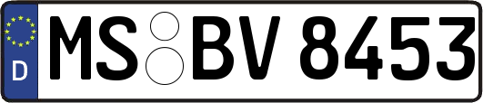 MS-BV8453