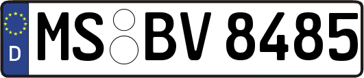 MS-BV8485