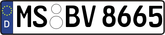 MS-BV8665