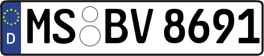 MS-BV8691