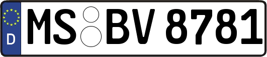 MS-BV8781