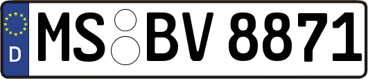 MS-BV8871