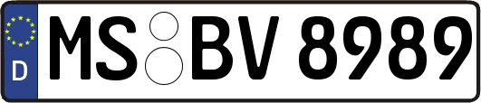MS-BV8989