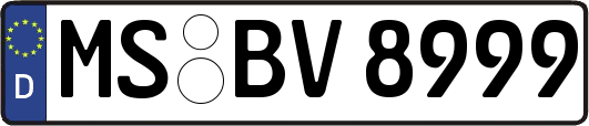 MS-BV8999