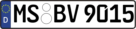 MS-BV9015