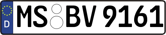MS-BV9161