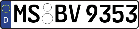 MS-BV9353