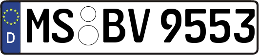 MS-BV9553