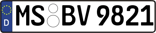 MS-BV9821