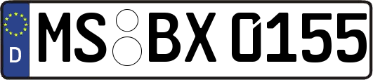 MS-BX0155
