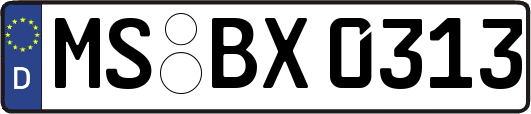 MS-BX0313