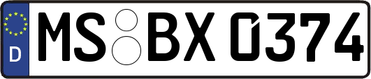 MS-BX0374