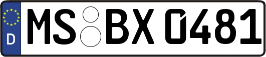 MS-BX0481