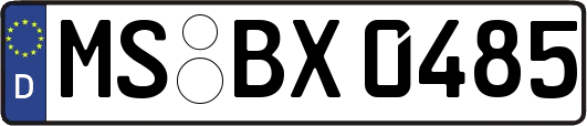 MS-BX0485