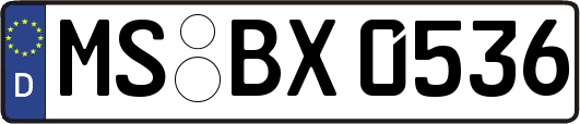 MS-BX0536