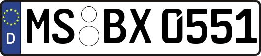 MS-BX0551
