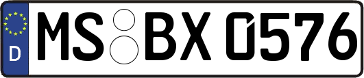 MS-BX0576