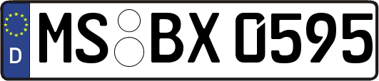 MS-BX0595