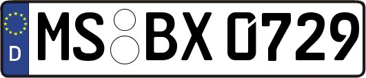 MS-BX0729