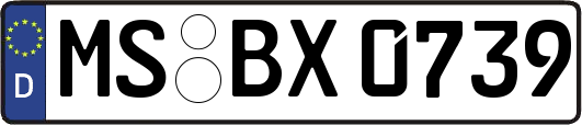 MS-BX0739