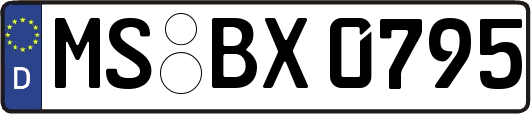 MS-BX0795