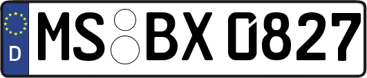 MS-BX0827