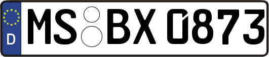 MS-BX0873