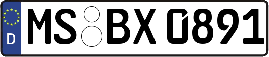 MS-BX0891