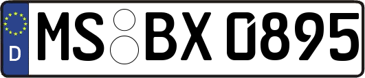 MS-BX0895