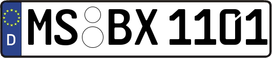 MS-BX1101