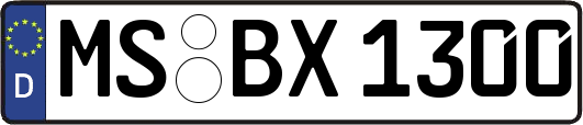 MS-BX1300