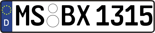 MS-BX1315