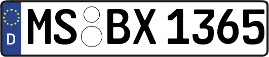 MS-BX1365