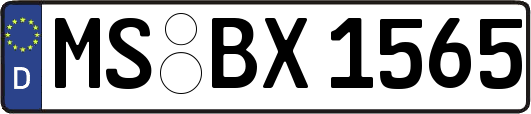 MS-BX1565