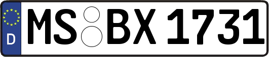 MS-BX1731
