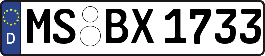 MS-BX1733