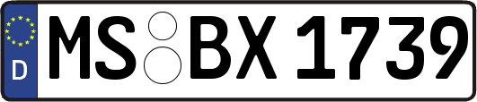 MS-BX1739