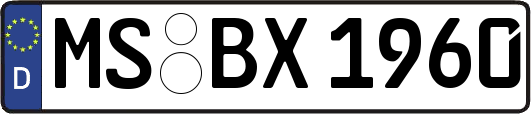 MS-BX1960